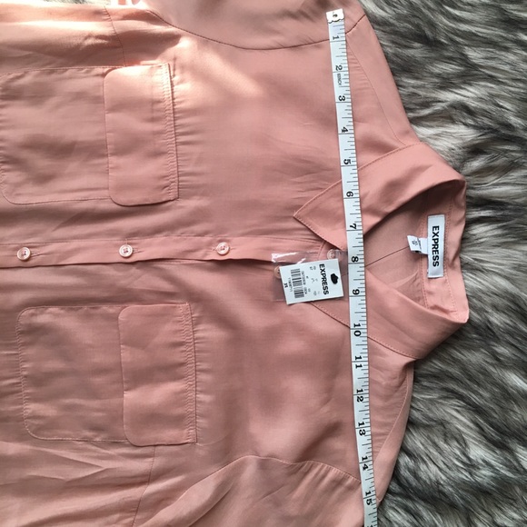 Express Blush Button Down Shirt - Picture 8 of 8